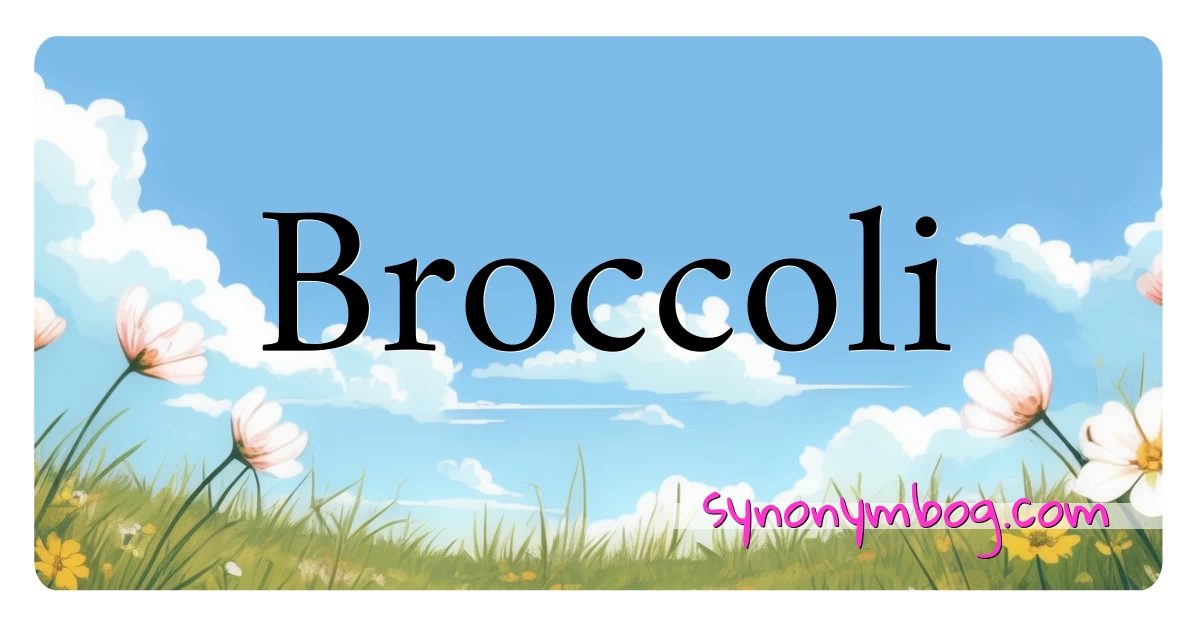 Broccoli synonymer krydsord betyder forklaring og brug