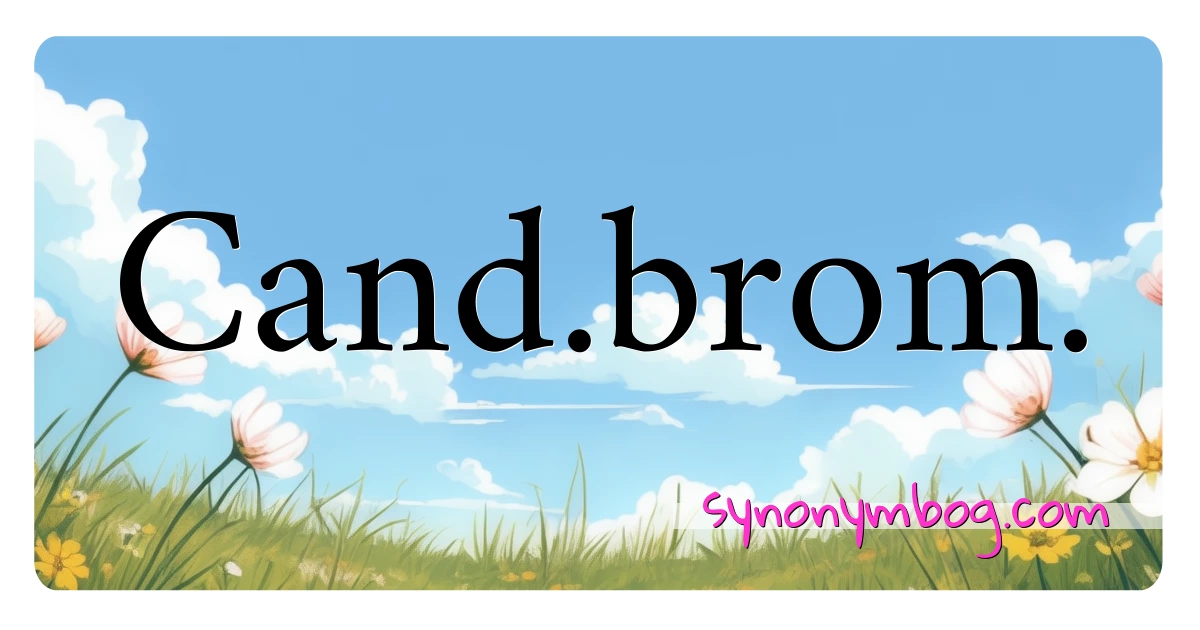 Cand.brom. synonymer krydsord betyder forklaring og brug