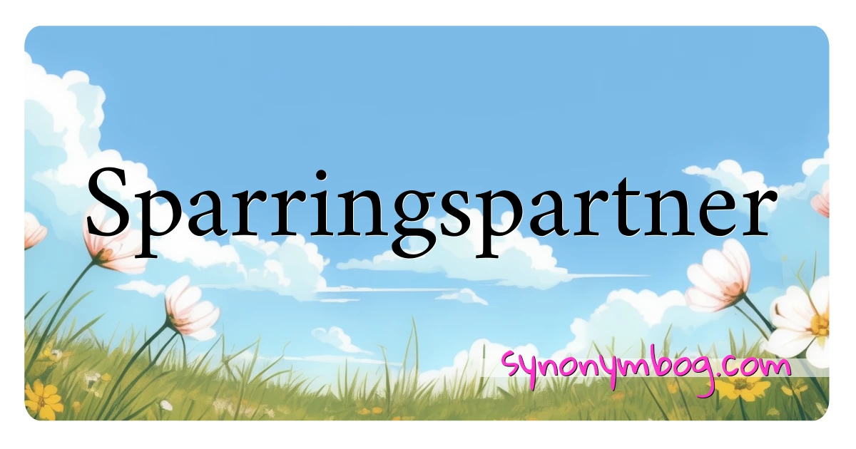 Sparringspartner synonymer krydsord betyder forklaring og brug