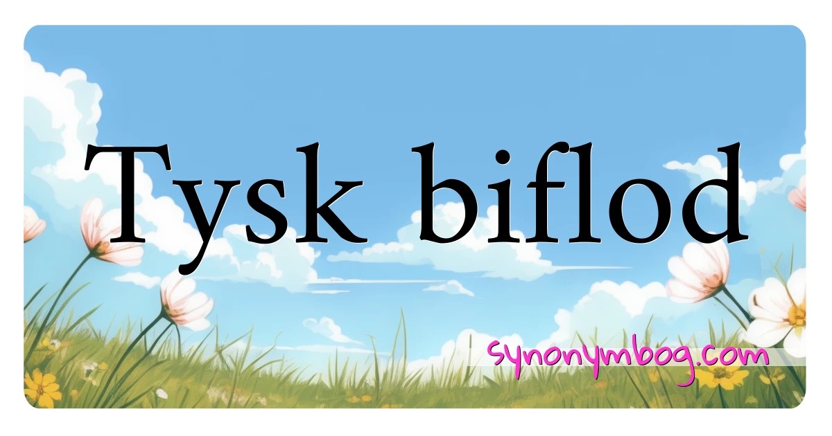 Tysk biflod synonymer krydsord betyder forklaring og brug