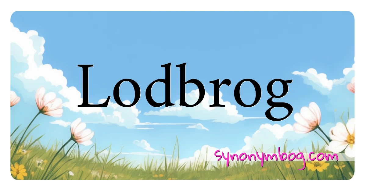 Lodbrog synonymer krydsord betyder forklaring og brug