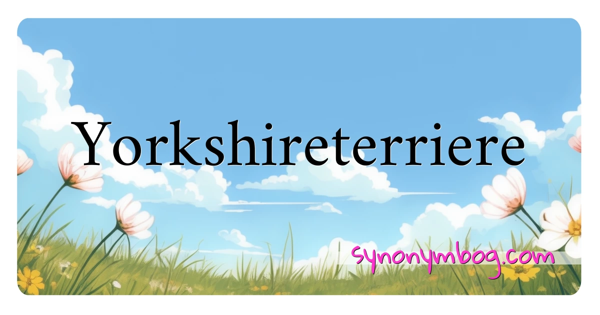 Yorkshireterriere synonymer krydsord betyder forklaring og brug