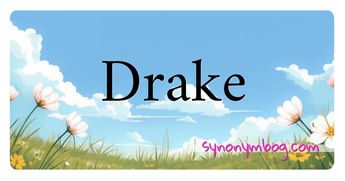 Drake synonymer krydsord betyder forklaring og brug