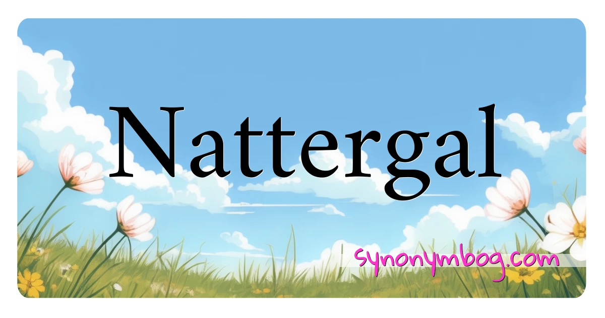 Nattergal synonymer krydsord betyder forklaring og brug