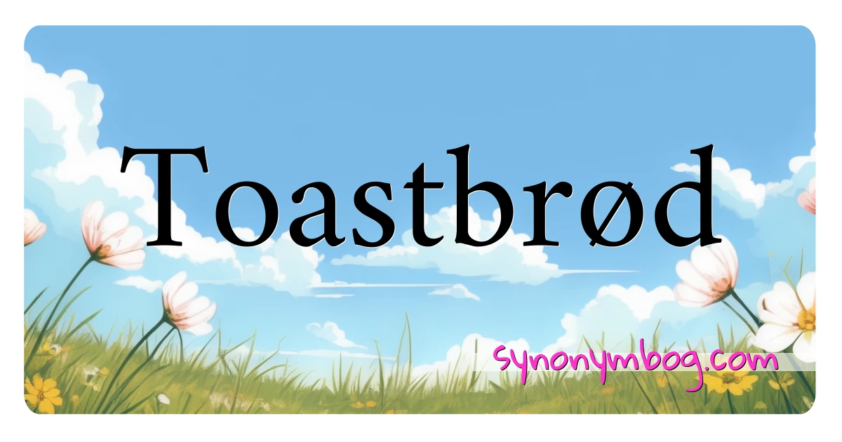 Toastbrød synonymer krydsord betyder forklaring og brug