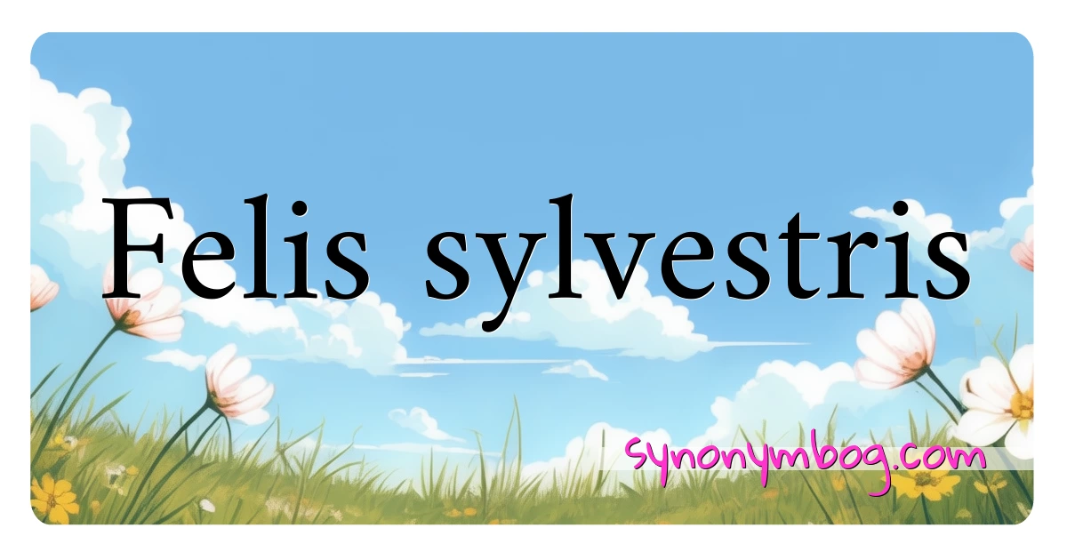 Felis sylvestris synonymer krydsord betyder forklaring og brug